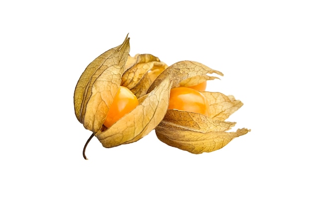 Physalis peruviana (aardbeien, kaapse kruisbes, schil tomaten, inca bes, poha bessen) geïsoleerd op een witte achtergrond