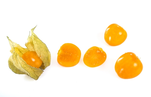 Physalis pubescens in de studio