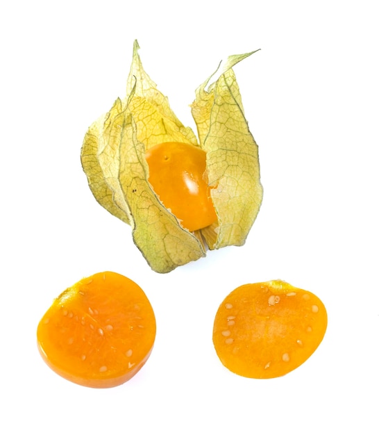 Physalis pubescens in de studio