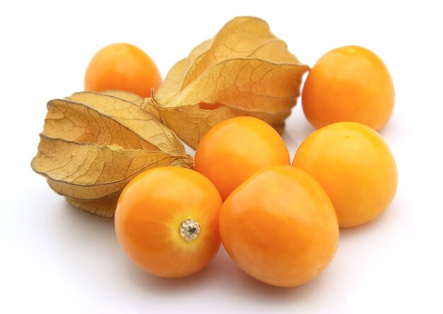 Physalis   on a white 