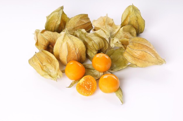 Physalis