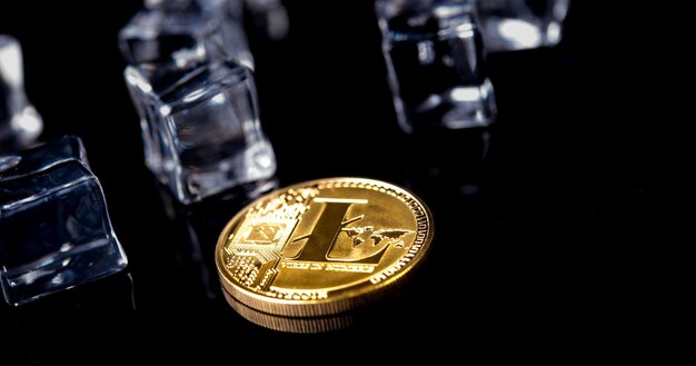 Физическая версия золотых виртуальных денег Litecoin для интернет-платежей