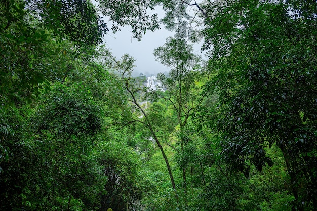 Pi Tu Gro Waterfall is often called the Heart waterfall The most popular time of visit is during