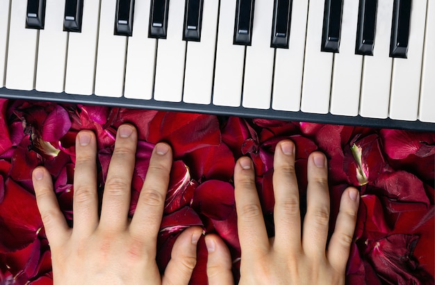 Pianist hands on red rose flower petals. Romantic concept with piano keys, top view. 