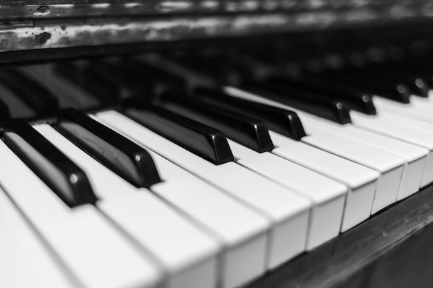 Piano keys closeup Musical instrument in black and white photo