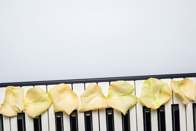 Pianosleutels met witte roze bloembloemblaadjes, geïsoleerde, hoogste mening, exemplaarruimte.