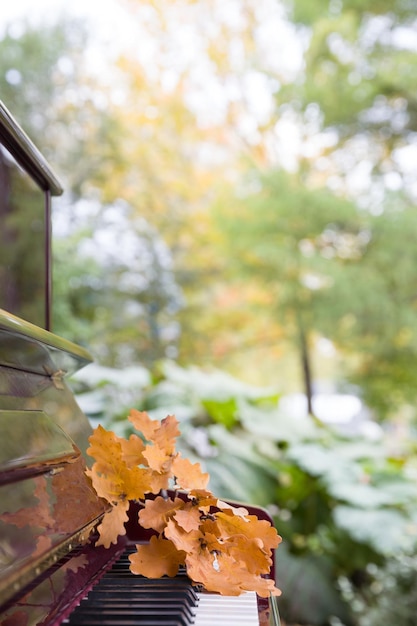 Pianotoetsen met eikenbladeren erop Muziekconcept Herfst