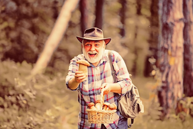 Picking mushrooms Happy Grandfather with mushrooms in busket hunting mushroom Mushrooming in nature