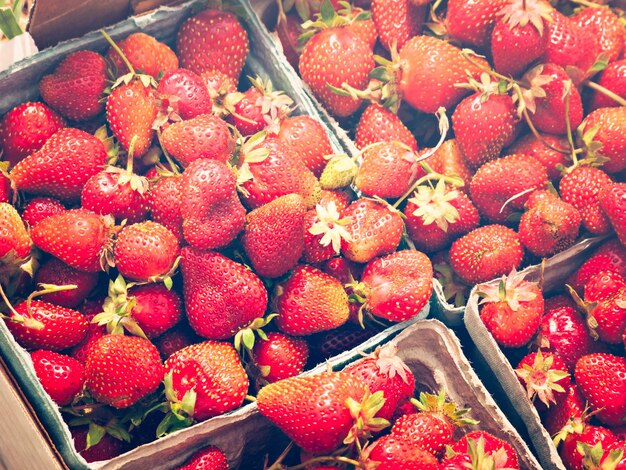 Picking rassberies on berry farm in Colorado.