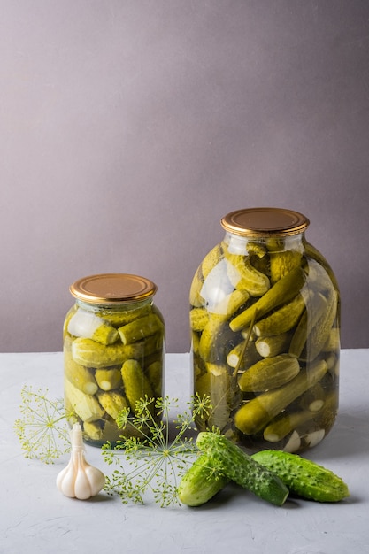 Pickled cucumbers in the jar Ingredients for pickling cucumbers Cucumbers dill garlic Glass jar