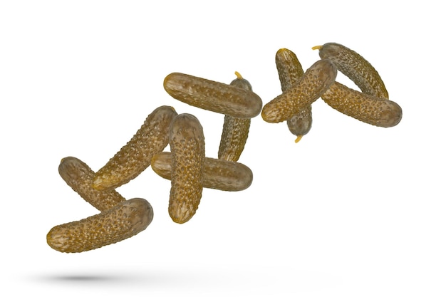 Pickled cucumbers on a white isolated background Cucumbers of different sizes scatter in different directions The concept of canning pickling and harvesting vegetables