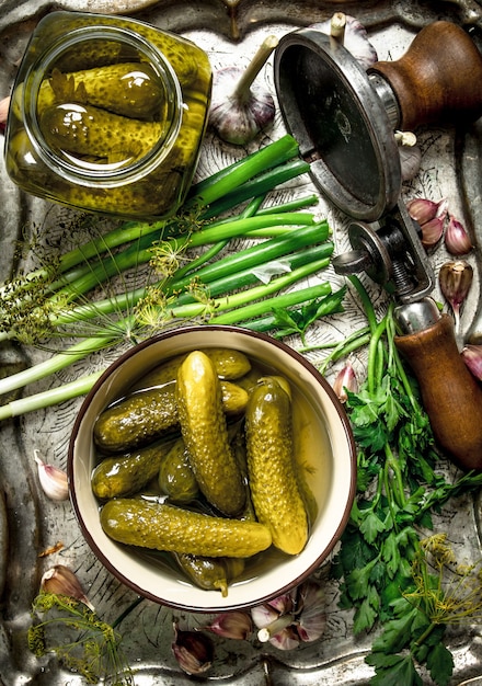 Pickled cucumbers with herbs and spices on a steel tray. On a rustic background.