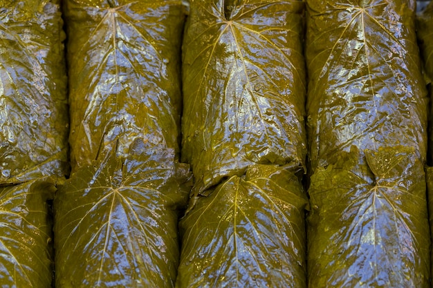 Pickled grape leaves closeup