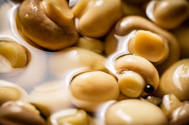 Photo pickled mushrooms in brine macro background