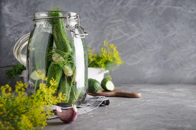 Pickling and fermentation cucumber with dill and garlic. 