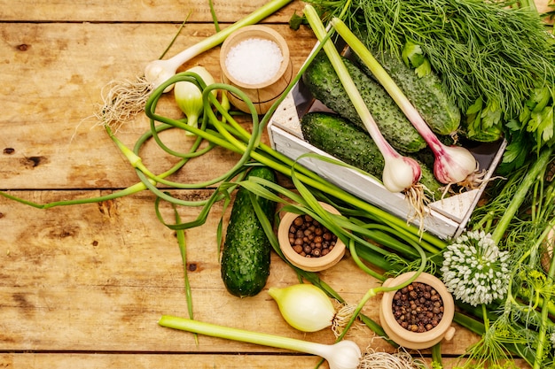 Pickling vegetables concept. Cooking process, spices, fresh fragrant herbs