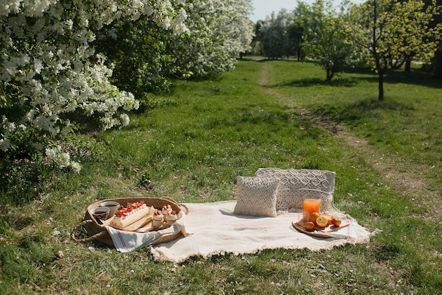 Picknick in de natuur, eten en drinken