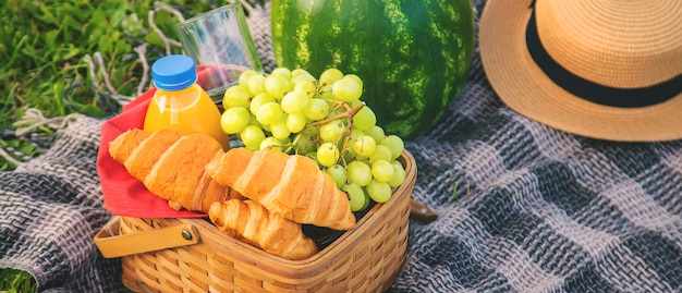 Picknick in de natuur fruit en watermeloen