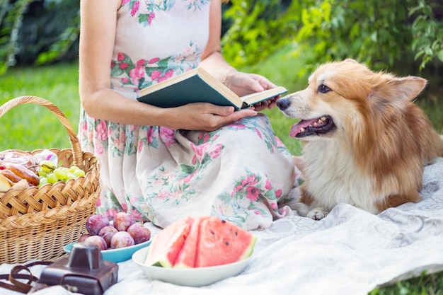 picknick in de wei