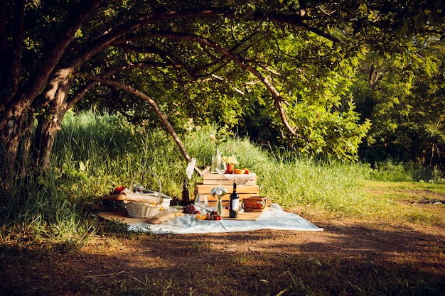 Picknick in het bos met wijn, fruit en stokbrood.
