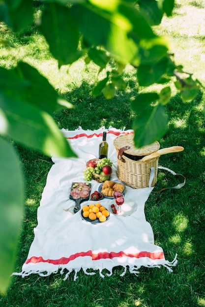 Picknick in het park op groen gras