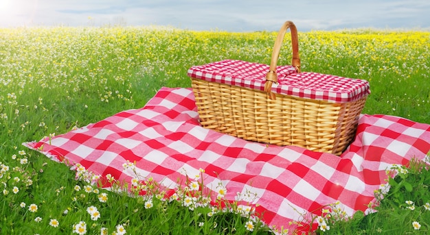 Picknick met een rode en witte mat.