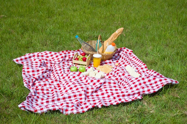 Picknick met fruit en sap op groen gazon