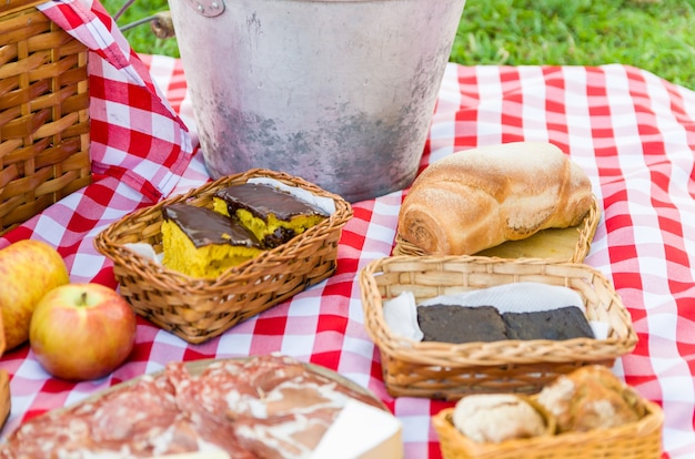 Picknick met fruit en sap op groen gazon