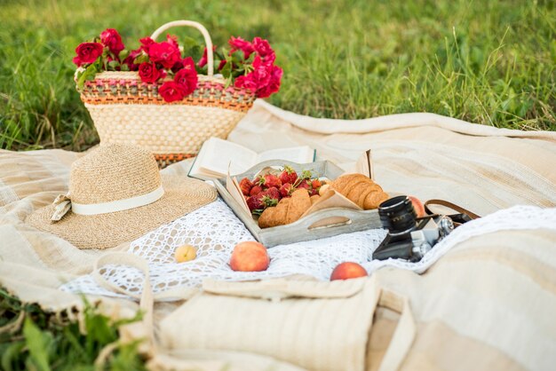 Picknick op het veld in het dorp. Hoed, retro camera. vers fruit en natuurlijke bloemen in een mand. buitenshuis, ontspannen op vakantie