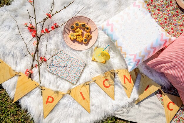 Picknick op tapijt met kussens en eten in het park. Vintage camera, koekjes en bloemen.