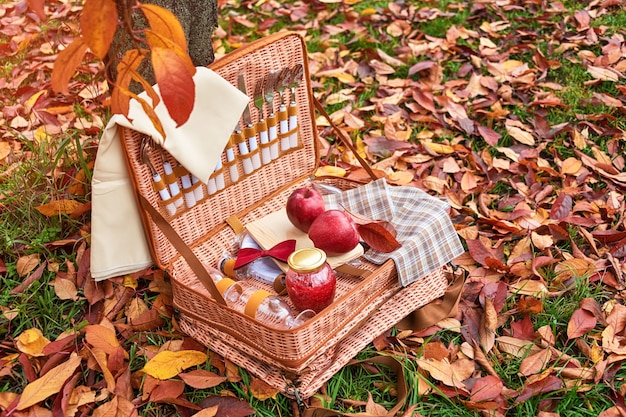 Picknickmand in de herfstpark