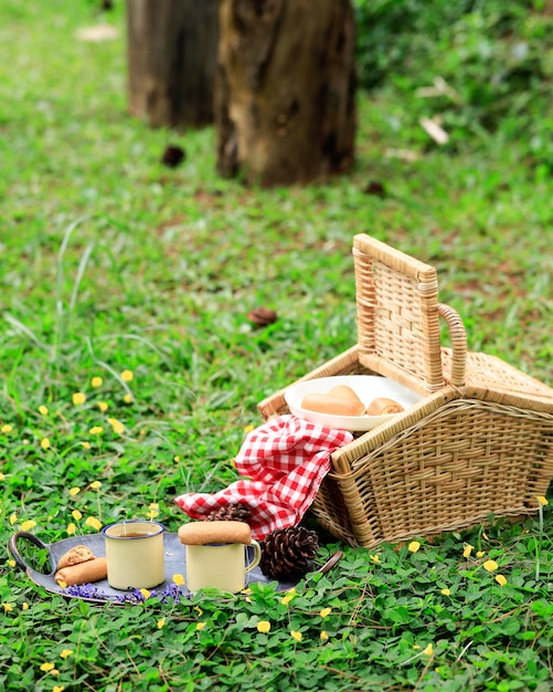 Picknickmand met fruit en bakkerij op oude rustieke houten tafel met groen landschap