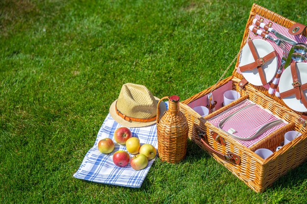 Picknickmand op groen zonnig gazon in het park