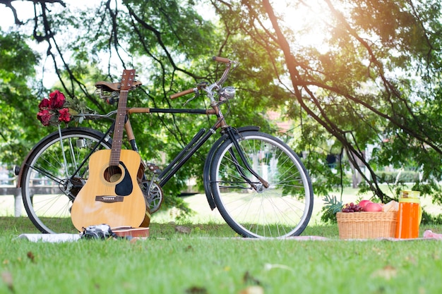 Picknickmand vakantie vrijetijdsbesteding levensstijl concept