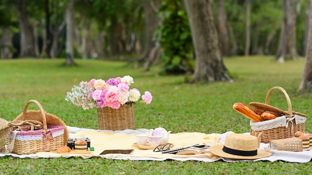 Picknickplaats in het park versierd met picknickmandgebakjes en accessoires op tafelkleed