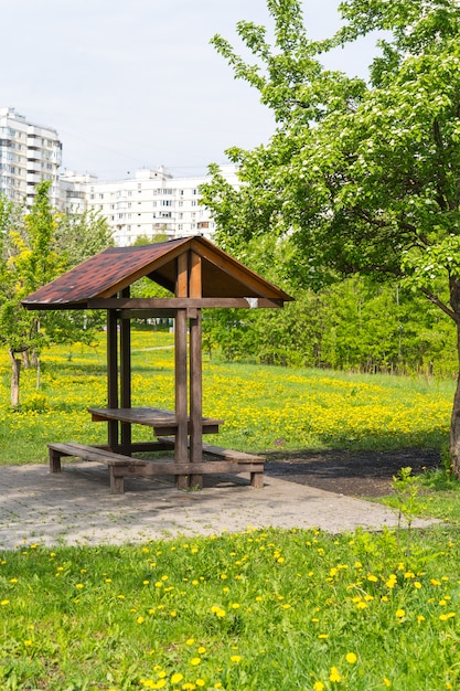 Picknickplaats in openbaar park dichtbij flatgebouw, gele paardebloemenweide en de lenteboom rond
