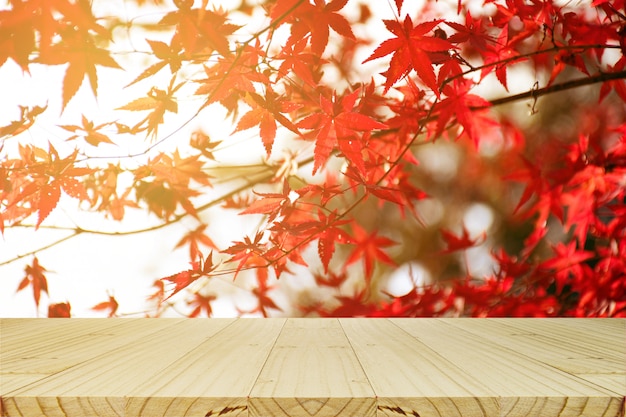 Picknicktafel met Japanse esdoornboomtuin in de herfst.