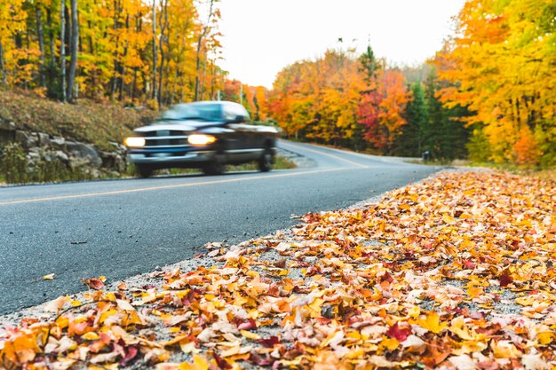 Pick-up su strada di campagna con colori autunnali e alberi