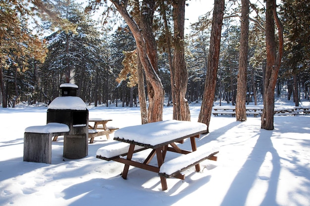숲속의 피크닉 공간은 하얀 눈으로 덮여 있으며 추운 겨울날 야외에서 바베큐를 즐길 수 있습니다.