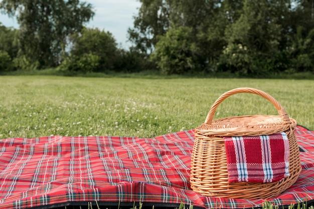 Фото Корзина для пикника и одеяло на траве парка