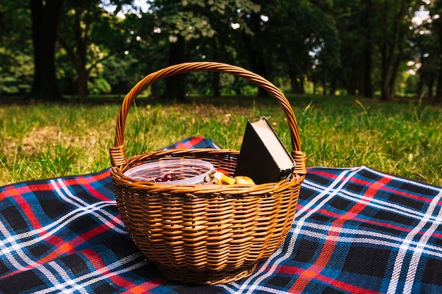Cestino di picnic sulla coperta sopra l'erba verde nel parco