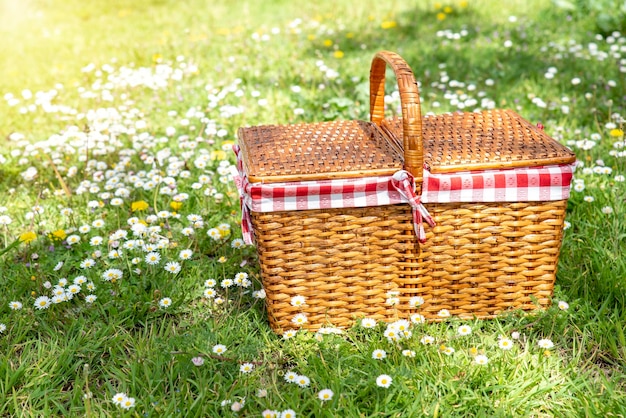 Foto cestino di picnic su erba verde