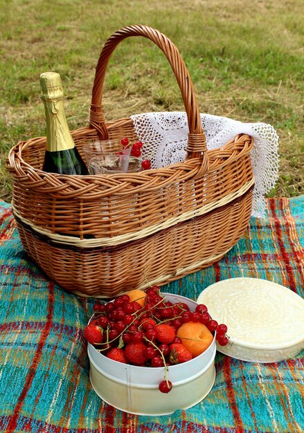 Foto cesto da picnic con una bottiglia di vino e albicocche e bacche in una lattina rotonda