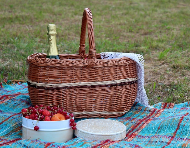 Foto cesto da picnic con una bottiglia di vino e albicocche e bacche in una lattina bianca rotonda