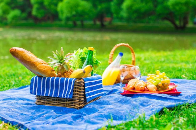 Picnic basket with fruits, bread and bottle of white wine