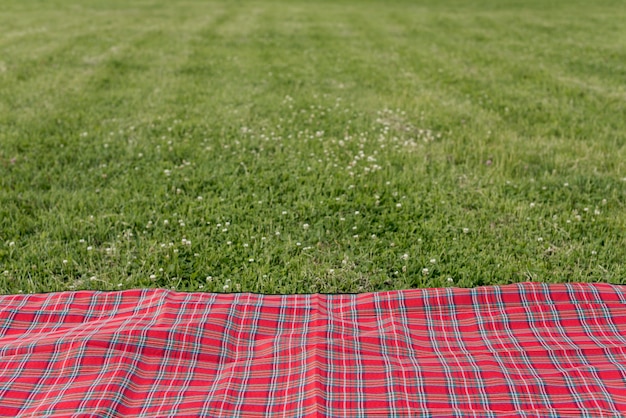 Picnic blanket on park grass