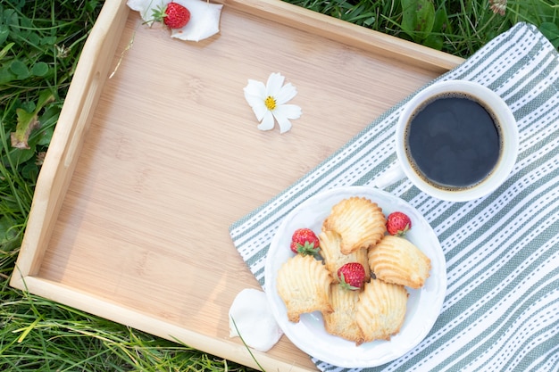 Picnic blanket with tray of berries and cookies