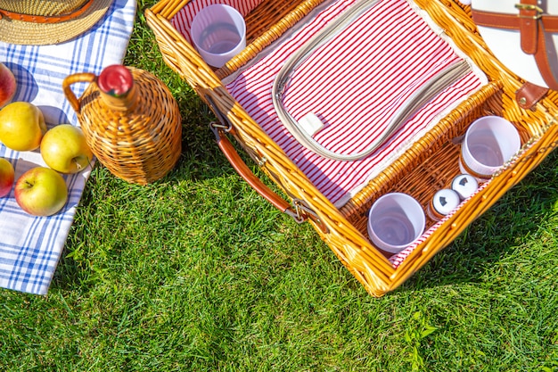 Concetto di picnic con il canestro su prato inglese soleggiato verde nel parco