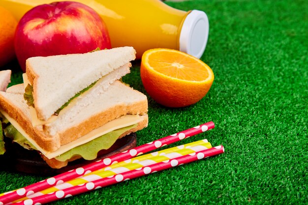 Photo picnic on the grass.