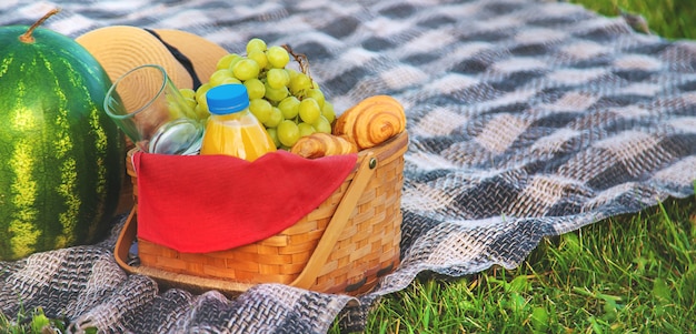 Picnic in nature fruits and watermelon